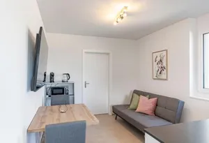 Image of Blüemlisalp Studio - Aare Jungfrau AG