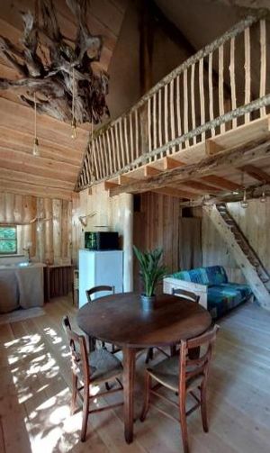 Image of Cabane Salamandre