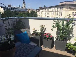 Image of LUXUSAPPARTEMENT mitten in Leipzig Neueröffnung !