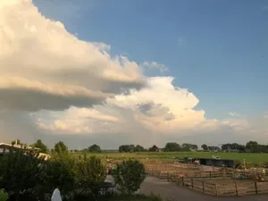 Image of Hestar Husid, het luxe paardenhuis