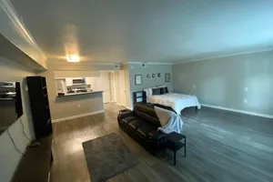 Image of Spacious Studio right near NRG!!