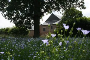 Image of Gîtes du Grand Bois