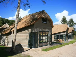 Image of Luxurious and adapted holiday home at the Schoorl dune area