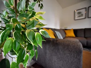 Image of Apartment in Eibergen near Zwillbrocker Venn