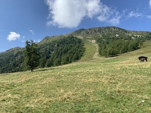 Image of Narnia SKI IN & SKI OUT chalet 14 pers