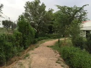 Image of Hill Views - A Country Home