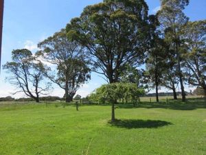 Image of Wombat Forest Country Retreat