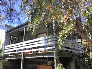 Image of Waratah Bay Tree Tops Escape