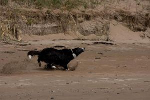 Image of @ the beach & not quite @ the beach Holiday Cottages - Stanley