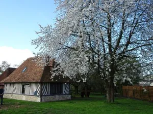 Image of Gîte Falafa Normand