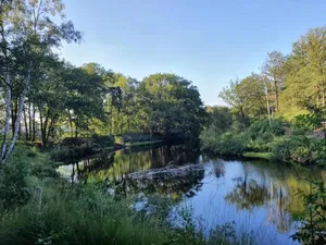 Image of de Merel