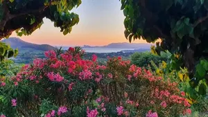 Image of La Maison De La Cadière