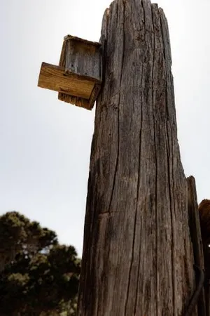 Image of Geoff's - beach, bush and bliss