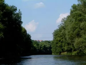 Image of Neles Nest