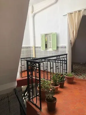 Image of La maison des oiseaux