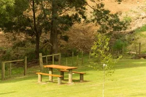 Image of Sunny Gum