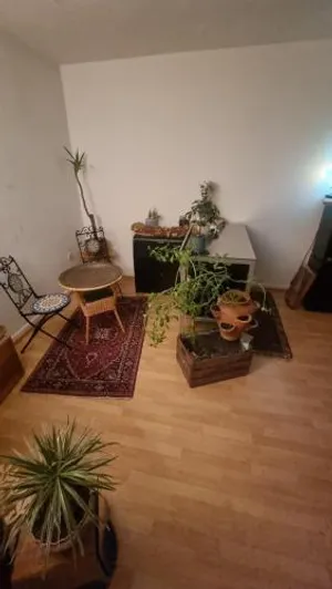 Image of Gemütliche und mit Charme eingerichtete Wohnung
