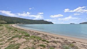 Image of Beach Shack - Waterfront Patonga