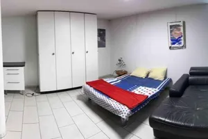Image of Basel - 5 mins away - Modern Basement Studio with Kitchen 35m2 in Muttenz
