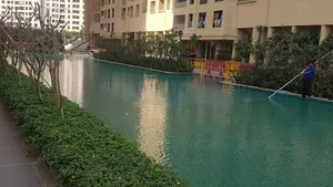 Image of SWEET HOME
