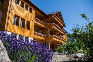 Image of LES GÎTES D'ADELSPACH - Gîtes 4 étoiles Nature & Spa