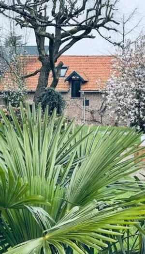 Image of Clos Almahe