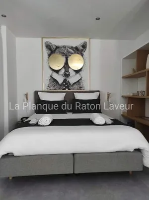 Image of La planque du raton laveur
