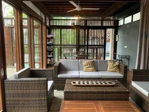 Image of The Shorea