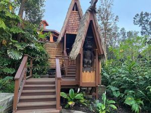 Image of Peaceful Sanctuary in Hawaiian Cloud Forest