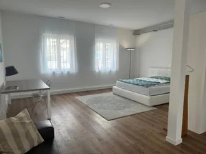 Image of Grosse Einzimmerwohnung/Büro/Showroom