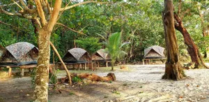 Image of Crusoe Koh Takiev Island