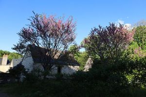Image of Castel Saint Laurent
