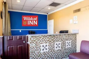 Image of Wildcat Inn