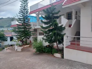 Image of GEM Stays