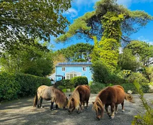 Image of Bay View Cottage