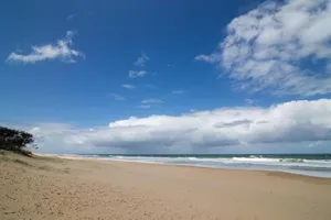 Image of Oceanic Dr 133 - WHALE WATCHERS DELIGHT