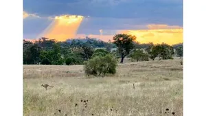 Image of Toowoomba Valley Views by Tiny Away