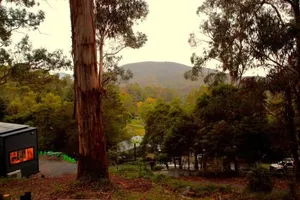 Image of Kookaburra's Perch