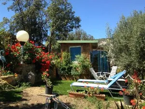 Image of L'oiseau BLEU à CALVI