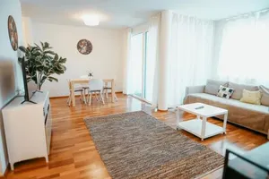 Image of Danube Rooftop Apartment 15