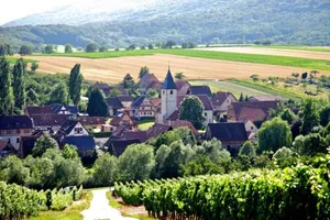 Image of Elsasslogie im Winzerdorf