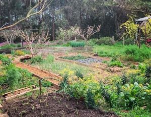 Image of Manna Gum Retreat by Tiny Away