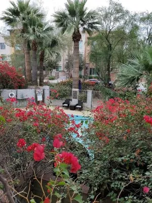 Image of Desert Rose Villas - Private One Bedroom in Old Town Scottsdale