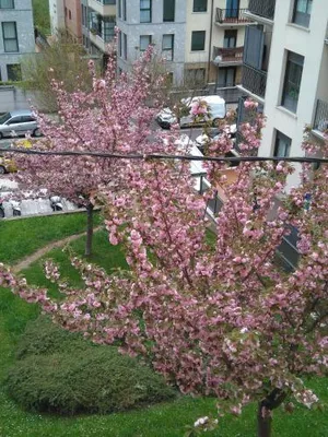 Image of Apartamento Zurbarán