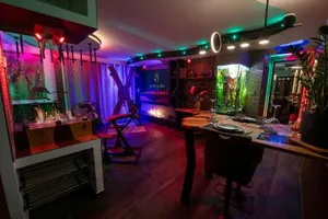 Image of Love & Sex Room: haut de gamme: avec SPA privatif