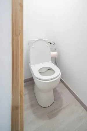 Image of Lumière aux Fèvres