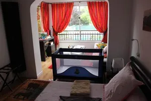 Image of La bambouseraie