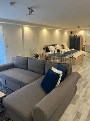 Image of Très bel appartement type loft de 40 m2 dans maison avec parking privatif