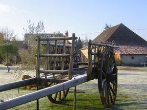 Image of La Serva