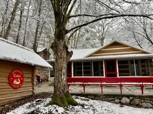 Image of Beary Relaxing Cabin - Rustic with Outdoor Patio